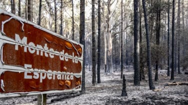 Estabilizado el incendio de Tenerife tras arrasar más de 14.700 hectáreas en nueve días