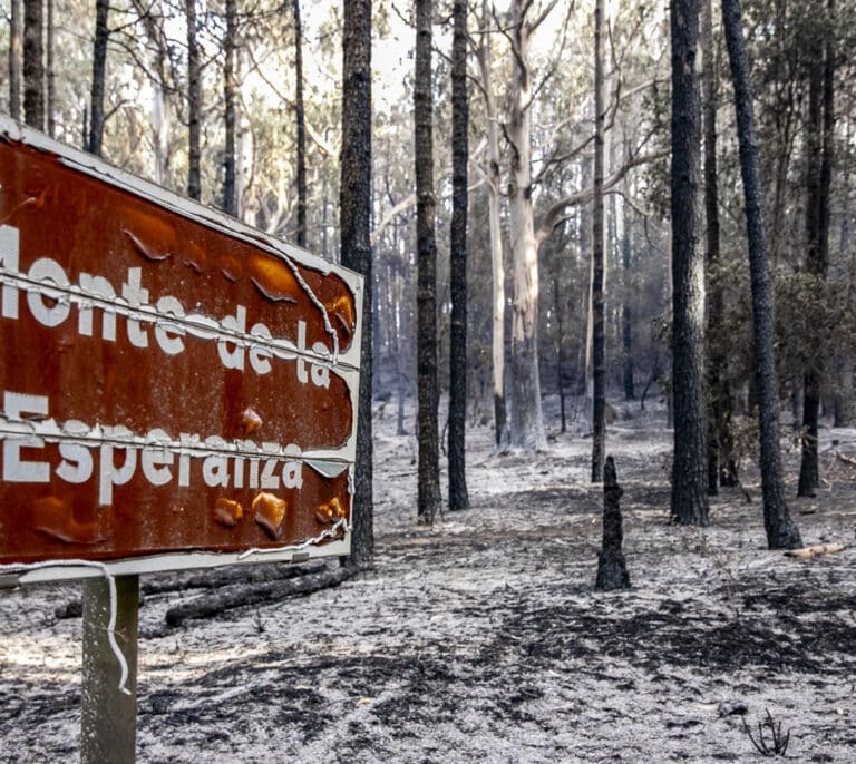 Estabilizado el incendio de Tenerife tras arrasar más de 14.700 hectáreas en nueve días