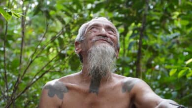 El líder indígena que logró proteger la selva de Indonesia del expolio de las grandes empresas