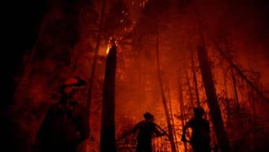 La decena de incendios que asola Orense ha arrasado ya más de 42.000 hectáreas
