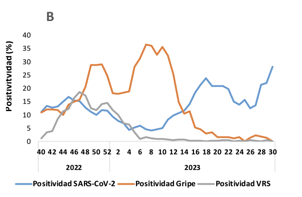 El porcentaje de positividad a gripe y SARS-CoV-2, mientras registran un repunte de contagios por Covid-19