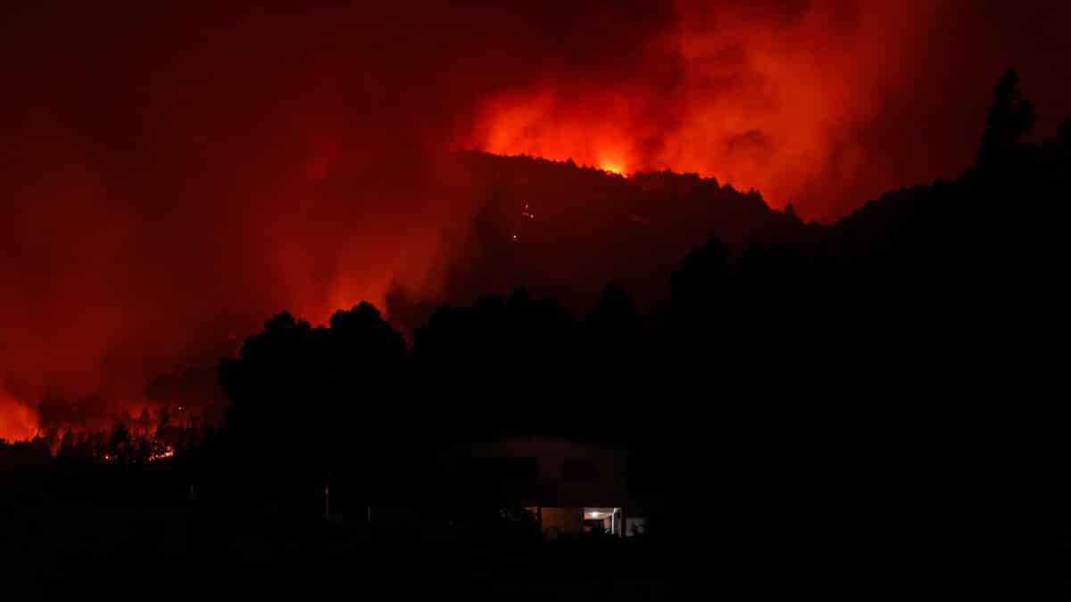 Llamas en las inmediaciones del municipio de Afaro, a 17 de agosto de 2023, en Afaro, Tenerife, Canarias (España).