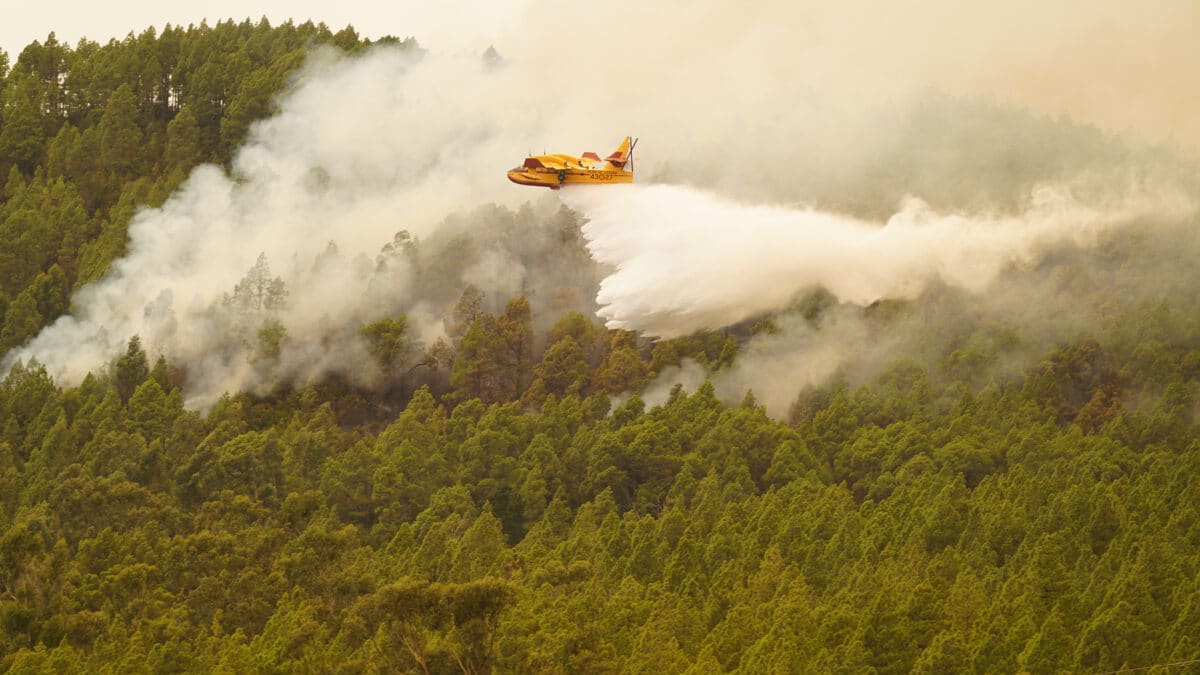 Un hidroavión lanza agua sobre el incendio forestal en las inmediaciones del municipio de El Rosario, a 17 de agosto de 2023, en Tenerife, Santa Cruz de Tenerife, Canarias (España).