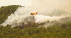 La otra lectura del incendio de Tenerife: España sólo ha destinado el 0,1% de los fondos europeos a la gestión forestal