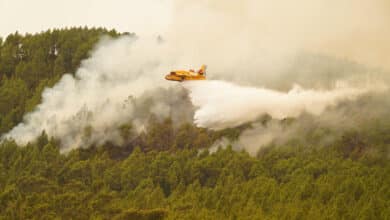 La otra lectura del incendio de Tenerife: España sólo ha destinado el 0,1% de los fondos europeos a la gestión forestal