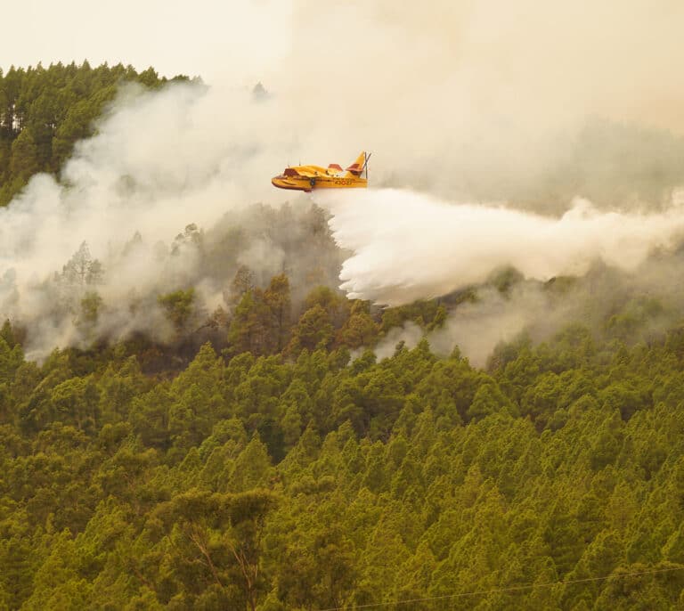 La otra lectura del incendio de Tenerife: España sólo ha destinado el 0,1% de los fondos europeos a la gestión forestal