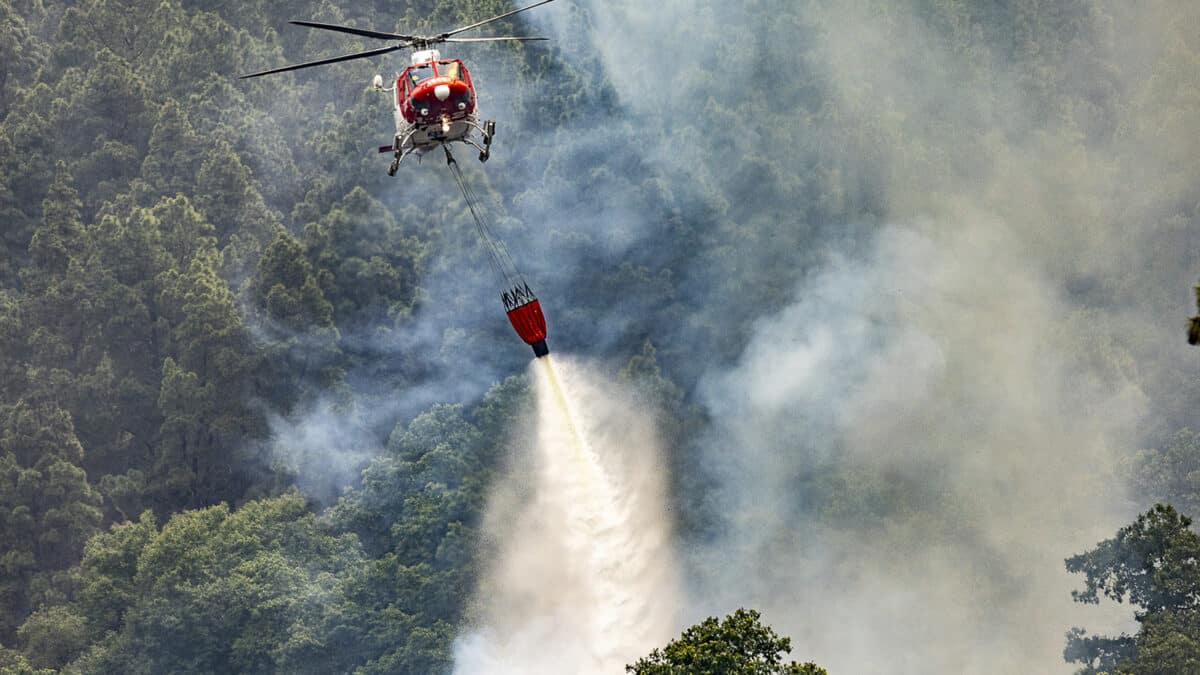 Un hidroavión trabaja en la extinción del incendio forestal, a 19 de agosto de 2023, en La Orotava, Tenerife, Islas Canarias (España)