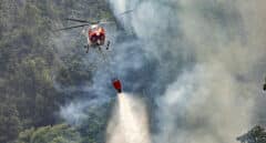 El 'megaincendio' provocado de Tenerife: 13.000 hectáreas calcinadas y una zona declarada "catastrófica"