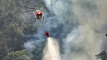 El 'megaincendio' provocado de Tenerife: 13.000 hectáreas calcinadas y una zona declarada "catastrófica"