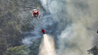 El 'megaincendio' provocado de Tenerife: 13.000 hectáreas calcinadas y una zona declarada "catastrófica"