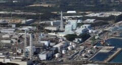 Japón comienza a verter el agua radiactiva de Fukushima al Pacífico y China habla de "sabotaje ecológico"