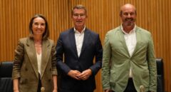 Feijóo asegura tener el apoyo "verbal" de Coalición Canaria para apoyar a Cuca Gamarra