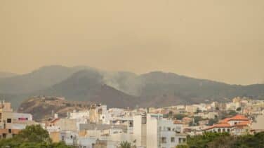 El incendio de Tenerife suma ya 26.000 personas evacuadas