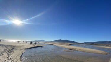 Tarifa llena, Tarifa vacía, lo importante es que coma atunes