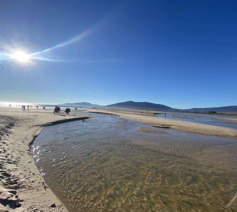 Tarifa llena, Tarifa vacía, lo importante es que coma atunes