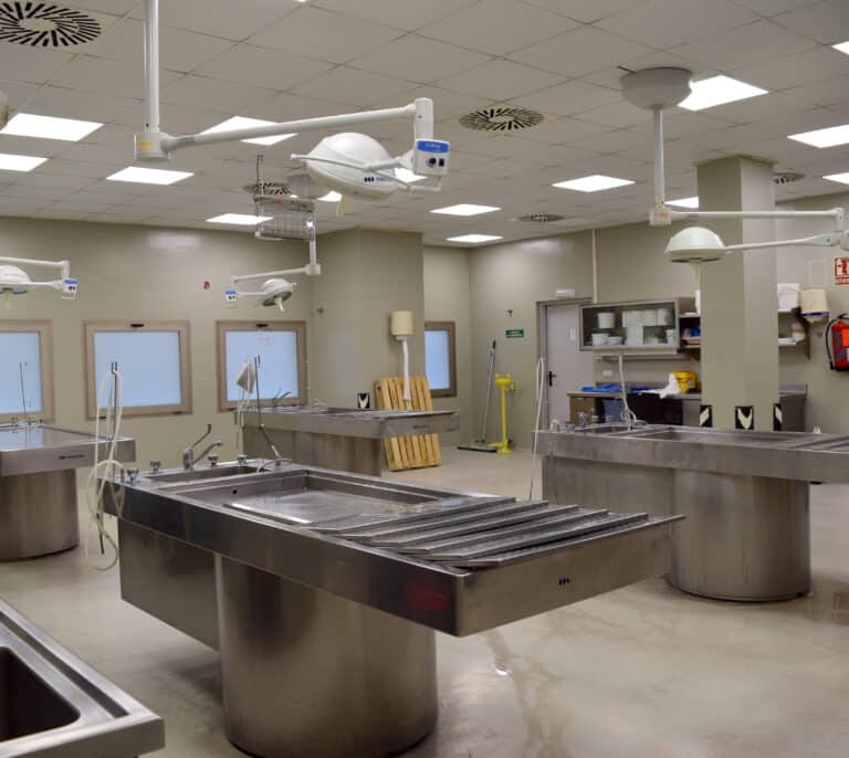 Un hombre 'resucita' en pleno examen forense en Valencia