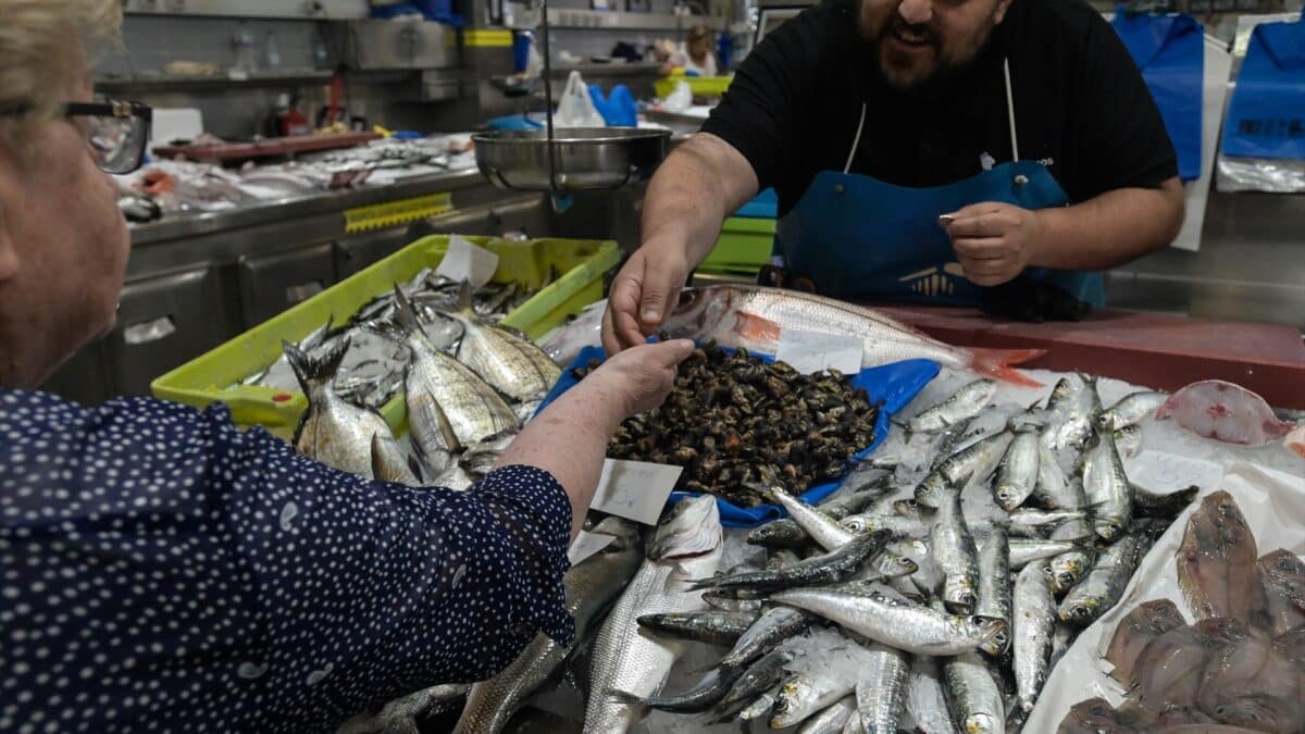 Marisco en las pescaderías de la Praza de Lugo, en A Coruña.