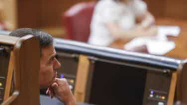 Sánchez y Feijóo carecen de apoyos en estos momentos
