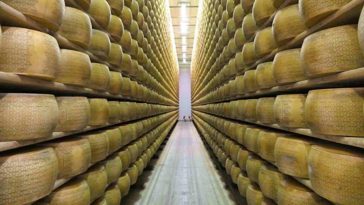 Fábrica de quesos