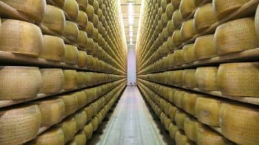 Muere un empresario italiano aplastado por 25.000 quesos Grana Padano