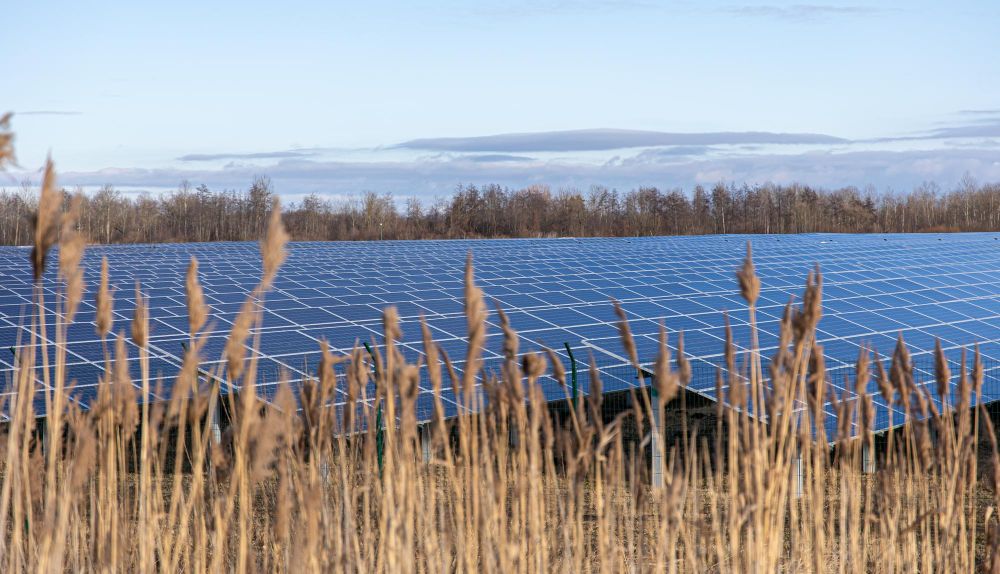 Campo con placas solares