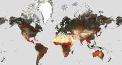 El Atlas Mundial de los incendios: Europa ha perdido 230.000 hectáreas en 2023