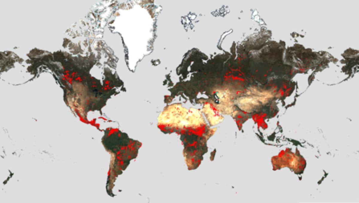 Atlas Mundial de Incendios