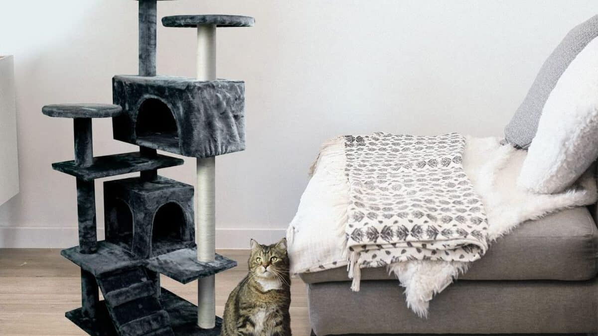 Máxima comodidad para tu gato con este castillo rascador ¡que cuesta menos de 55 euros!