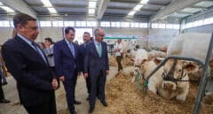 El Gobierno se reunirá con las comunidades autónomas por el control de enfermedades animales