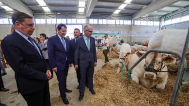 El Gobierno se reunirá con las comunidades autónomas por el control de enfermedades animales