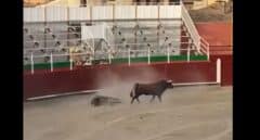 El accidentado espectáculo taurino de Barbastro enciende a Yolanda Díaz: "No representan a la España de 2023"