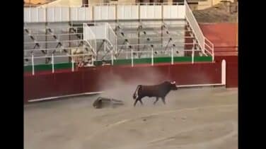 El accidentado espectáculo taurino de Barbastro enciende a Yolanda Díaz: "No representan a la España de 2023"