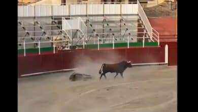 El accidentado espectáculo taurino de Barbastro enciende a Yolanda Díaz: "No representan a la España de 2023"