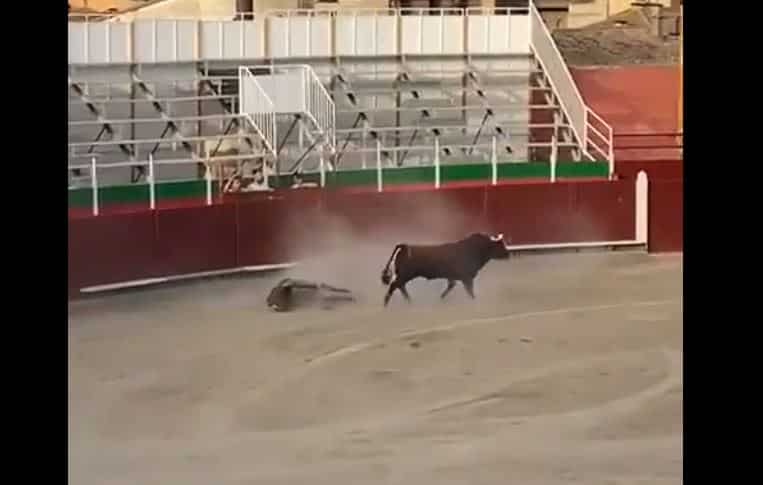 Espectáculo taurino en Barbastro (Aragón)