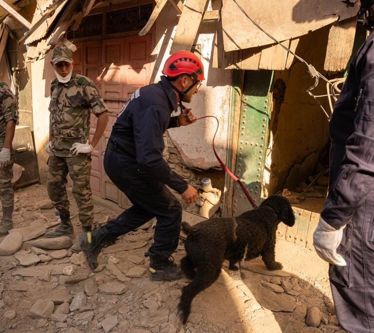 Concluyen las tareas de búsqueda de supervivientes en el terremoto de Marruecos: “Hay zonas a las que ha sido imposible llegar”