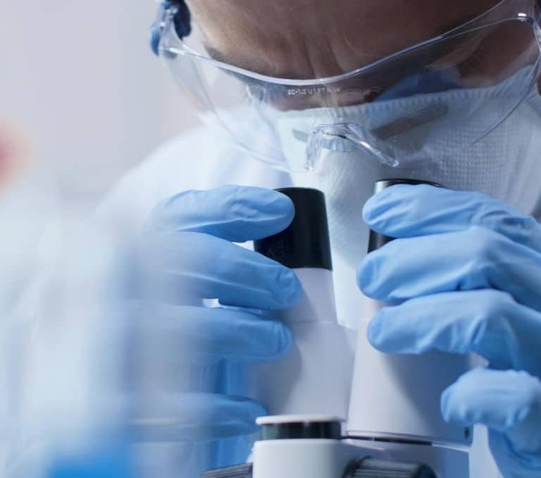 Prueban con éxito en ratones un fármaco prometedor contra el melanoma, la leucemia y el cáncer de vejiga y de colon