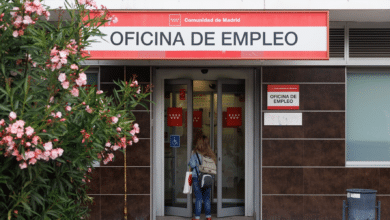 El Banco de España pide ir más allá del subsidio y reformar las políticas activas de empleo