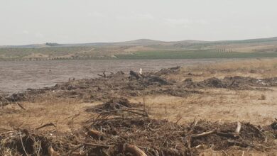 La lucha contra la DANA en los viñedos: 20 horas al día para salvar la vendimia