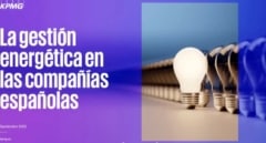 Una de cada tres empresas españolas ya genera su propia energía con paneles fotovoltaicos
