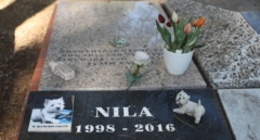 Málaga tendrá el primer cementerio público de mascotas en España