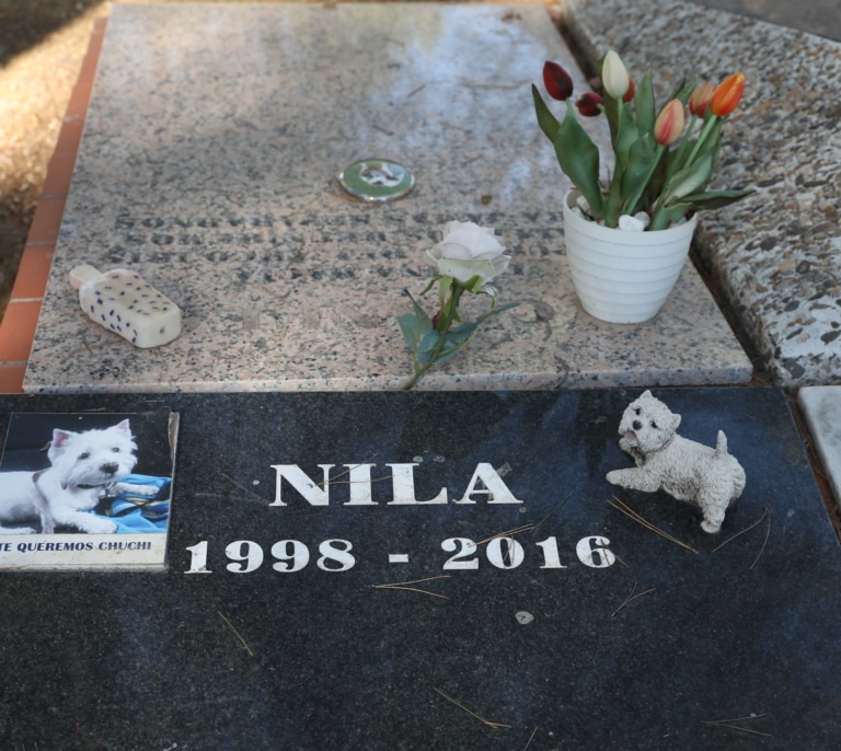 Málaga tendrá el primer cementerio público de mascotas en España