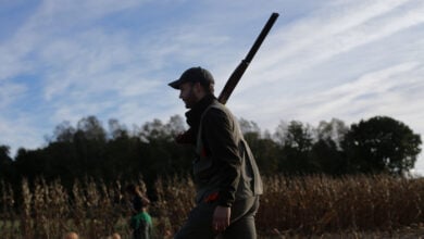 La caza juega sus cartuchos para que el Gobierno siga la recomendación europea sobre el lobo