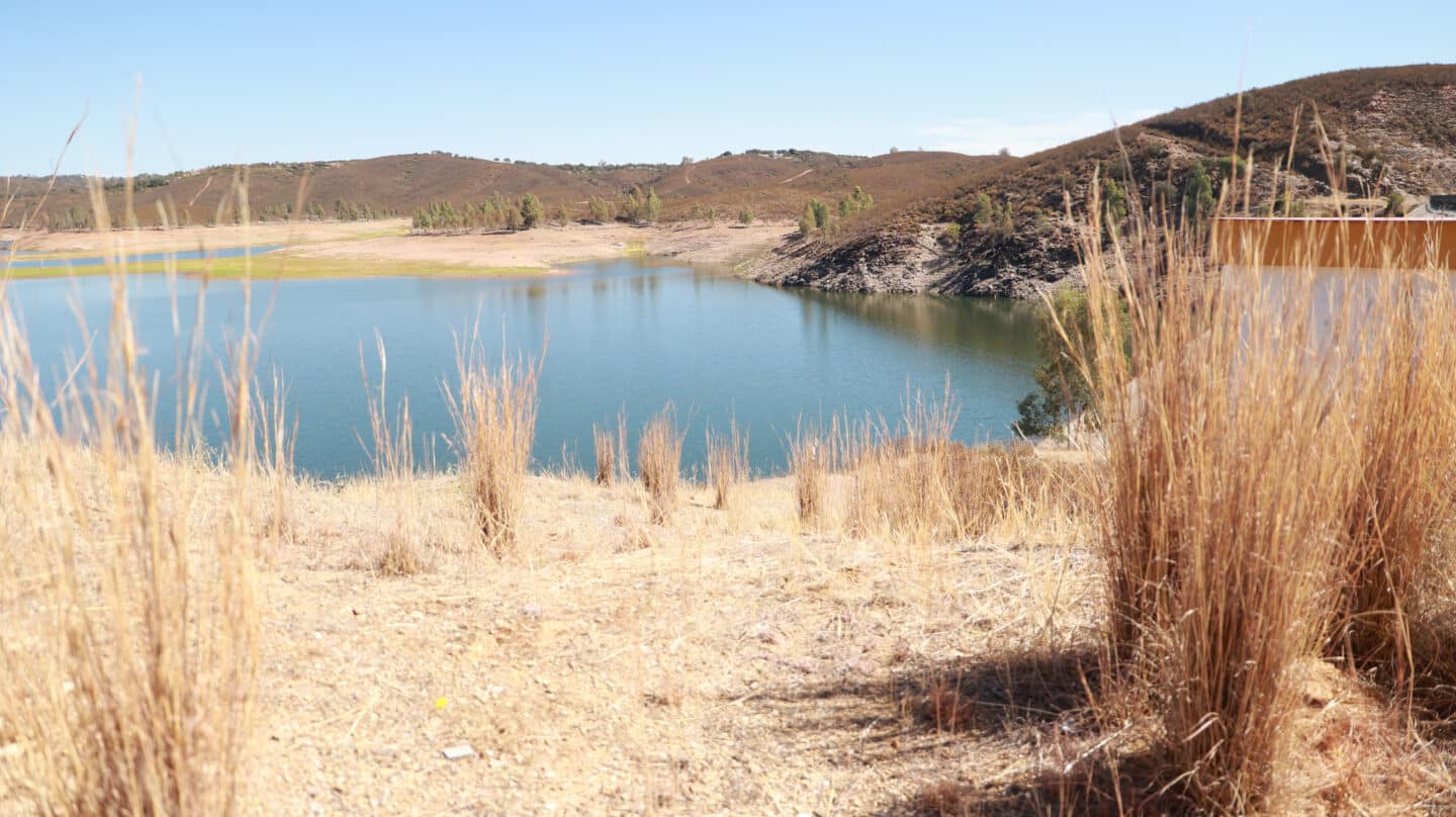 Vista general del Pantano de Aznalcóllar, a 29 de agosto de 2023 en Sevilla (Andalucía, España).