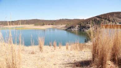 Las lluvias no frenan la sequía en España: el 14,6% del territorio está en emergencia y el 27,4% en alerta por falta de agua