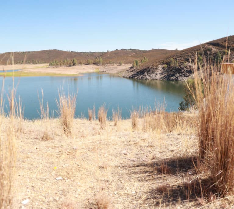 Las lluvias no frenan la sequía en España: el 14,6% del territorio está en emergencia y el 27,4% en alerta por falta de agua