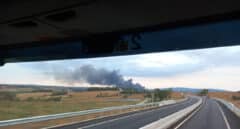 Mueren 6.000 cerdos por el incendio de una granja en Cornellà del Terri (Girona)