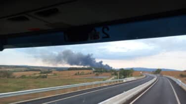 Mueren 6.000 cerdos por el incendio de una granja en Cornellà del Terri (Girona)