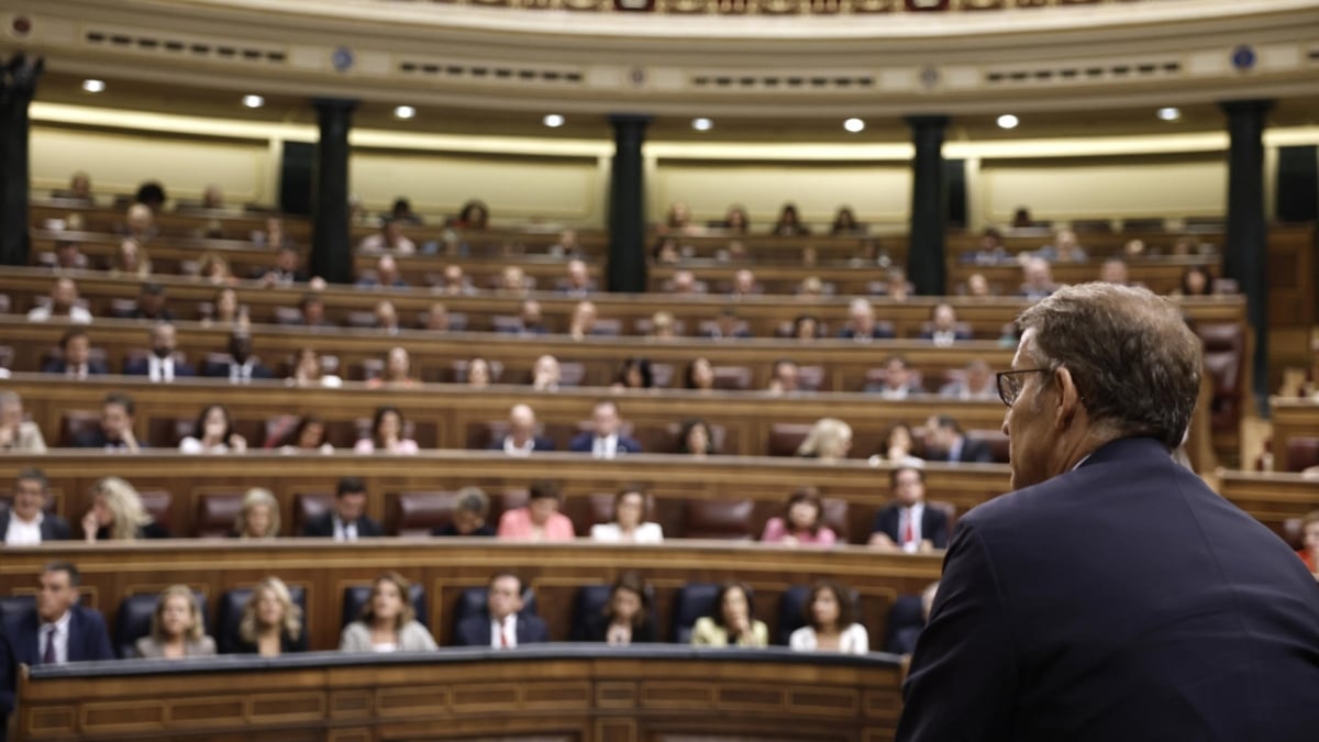 Alberto Núñez Feijóo, se incorpora para votar durante la segunda votación de su investidura fallida, este viernes en el Congreso de los Diputados.