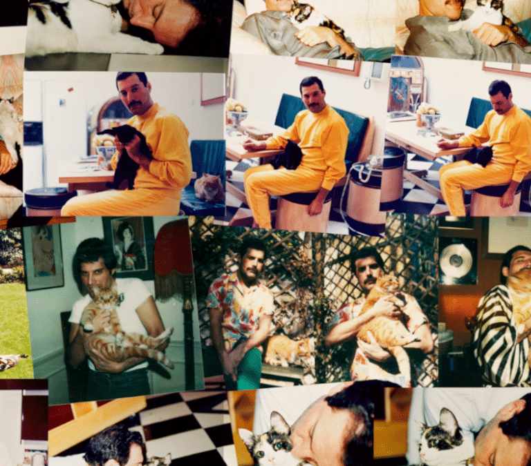 Si Freddie Mercury hubiera cumplido 77: reimaginando el reinado de Queen
