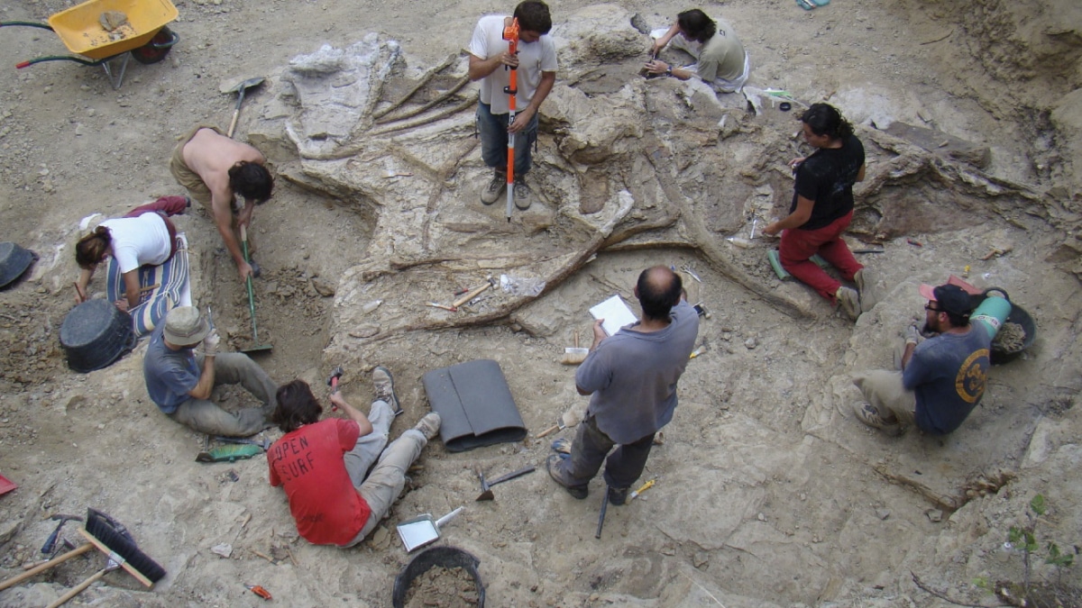 Los paleontólogos que trabajan en el Grupo de Biología Evolutiva de la UNED en excavaciones en han hallado restos de un nuevo dinosaurio gigante, el Garumbatitan morellensis, un saurópodo que habitó en el Cretácico Inferior en la comarca castellonense de Els Ports, hace 122 millones de años.